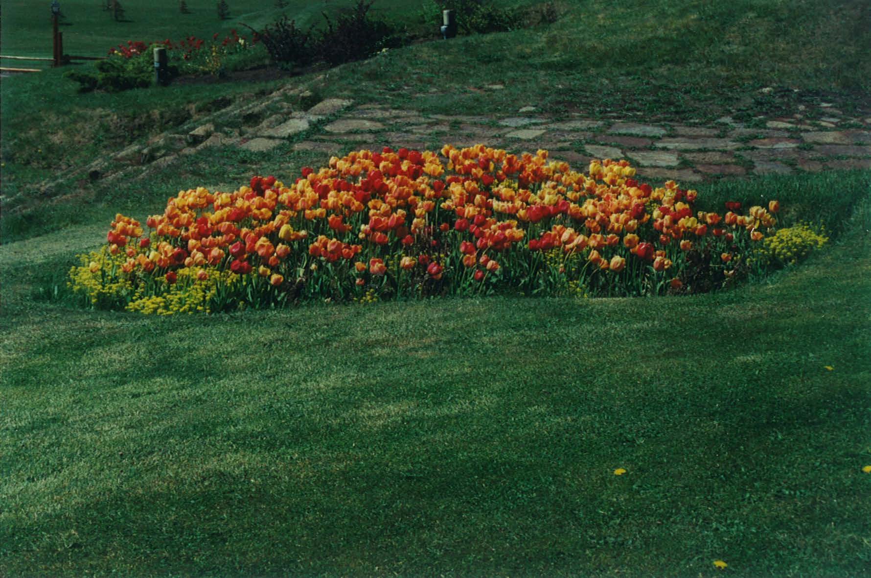 Eng-Scot, complete_Page_16