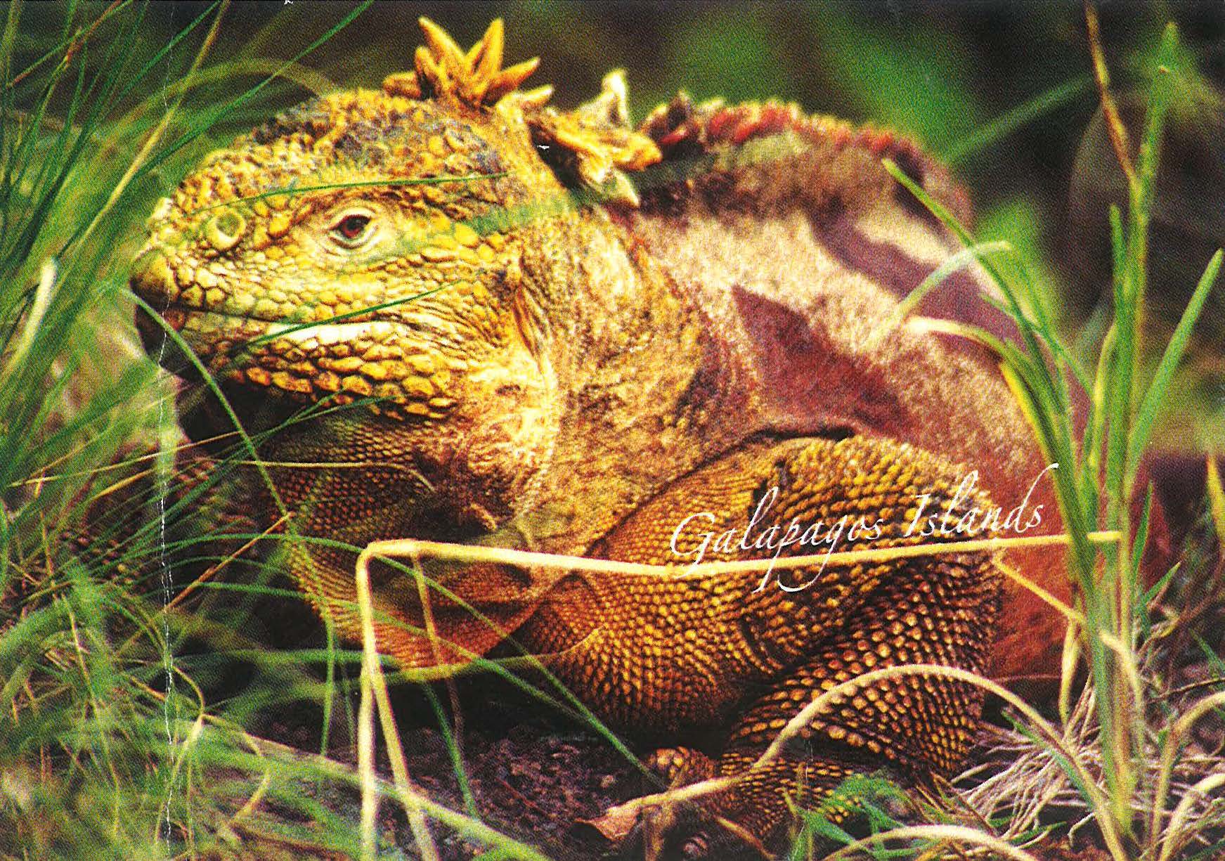 peru final_Page_10_Image_0001