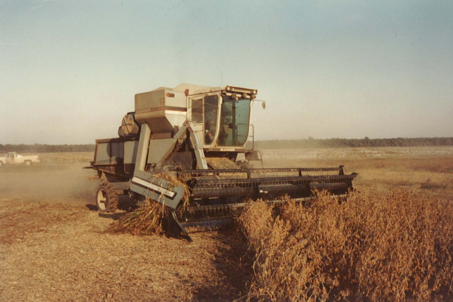 Bag10_Page_1_Image_0001