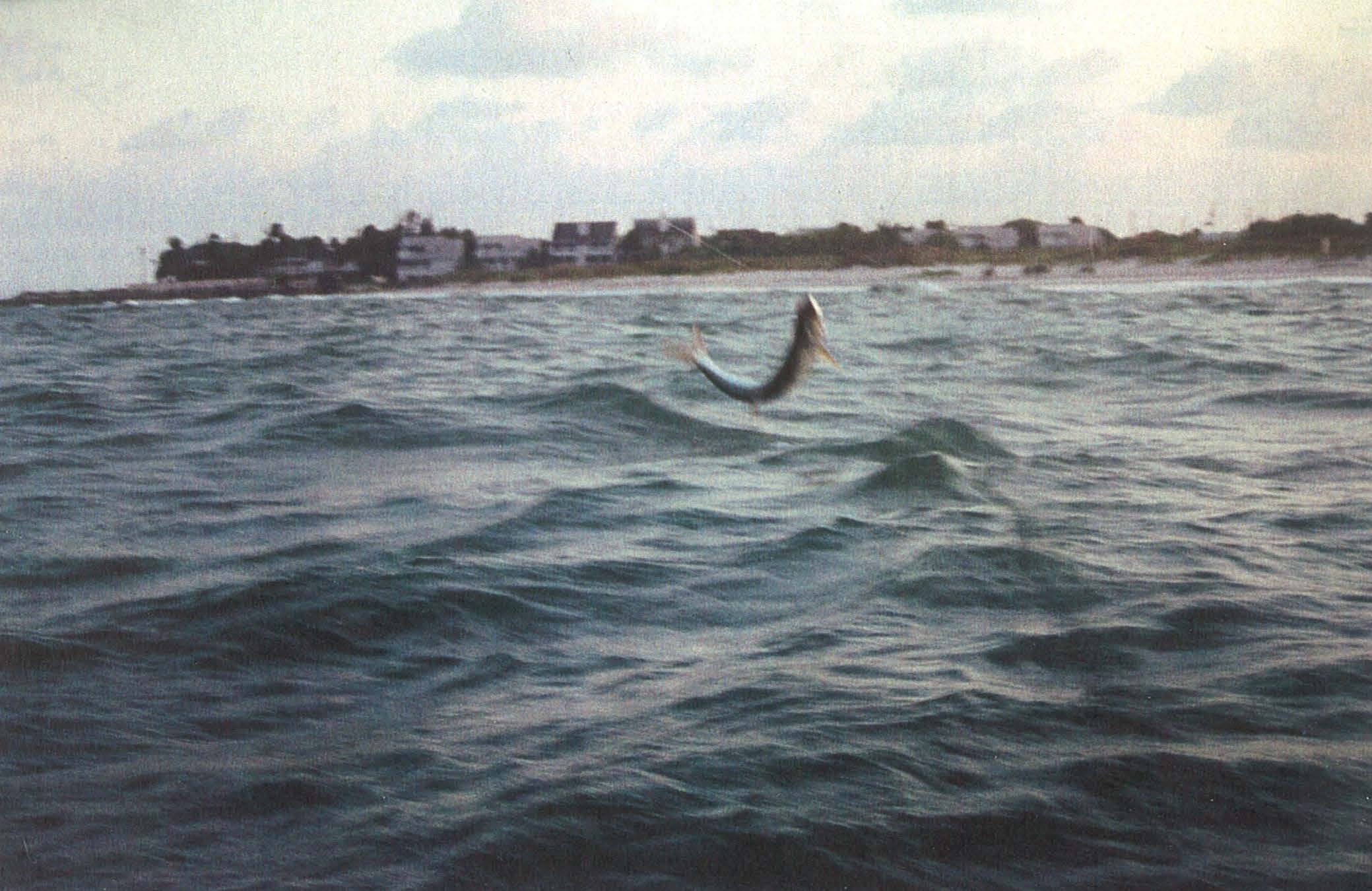 bag 6 land_Page_54_Image_0001