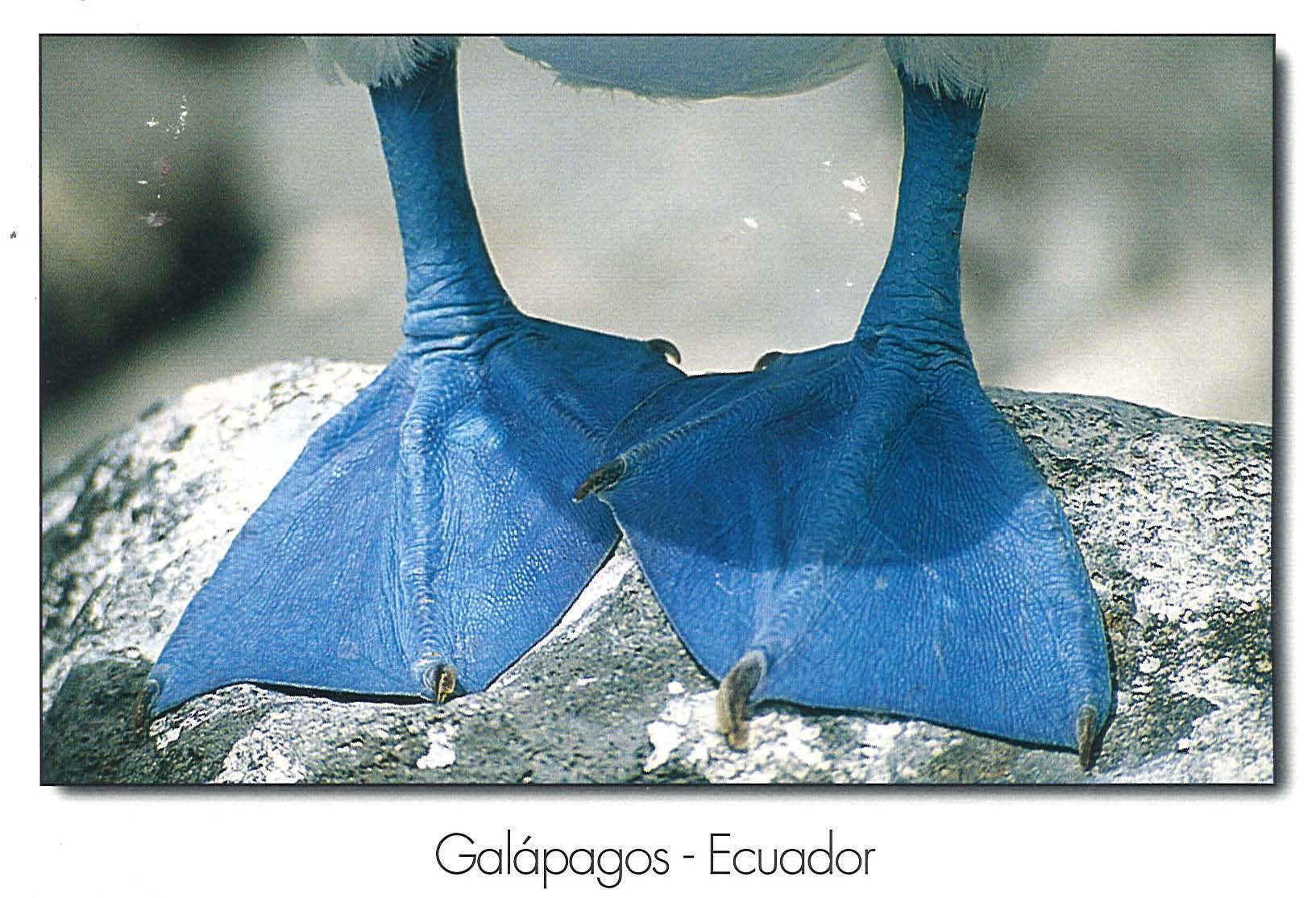 peru final_Page_15_Image_0001