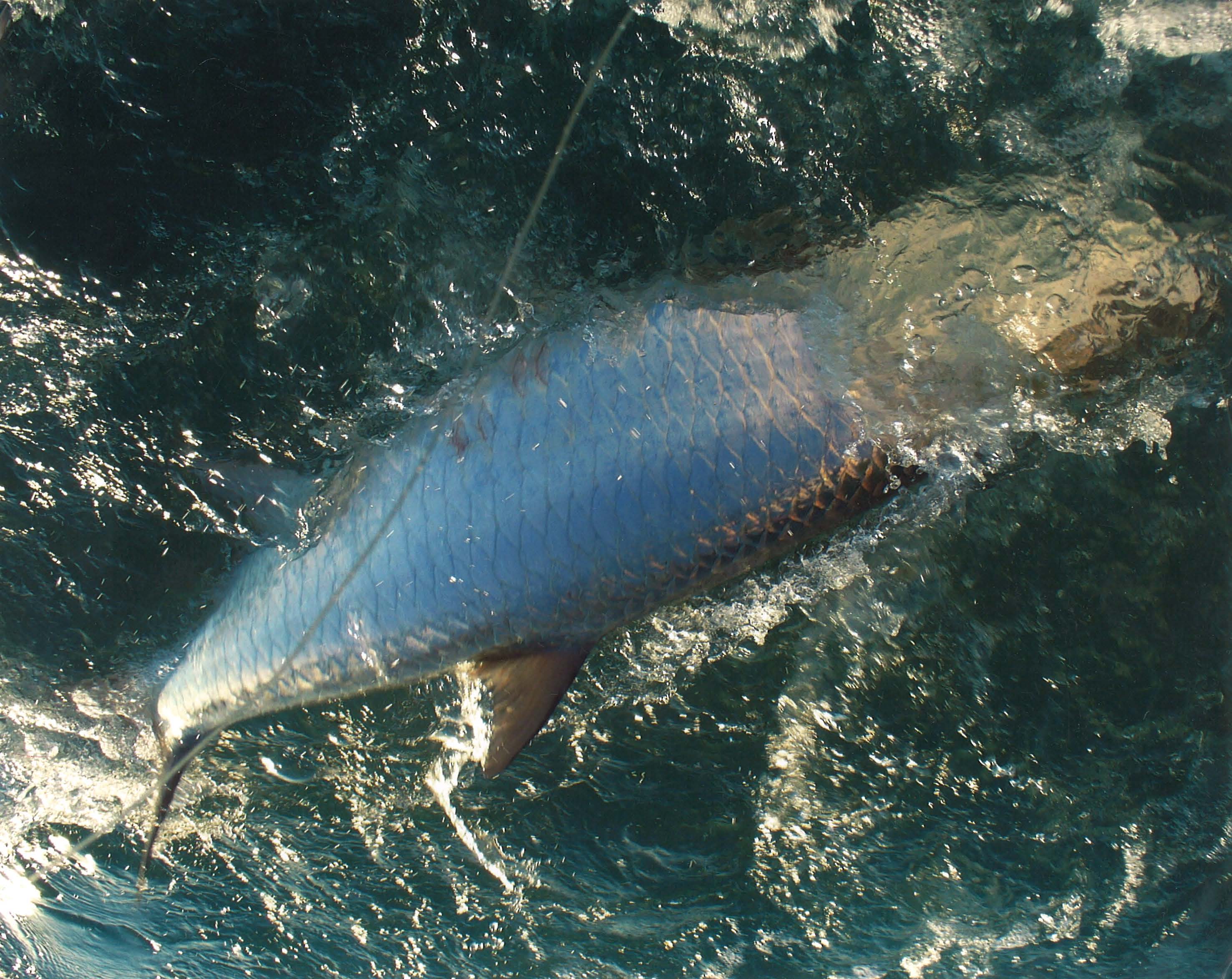 bag 6 land_Page_04_Image_0001