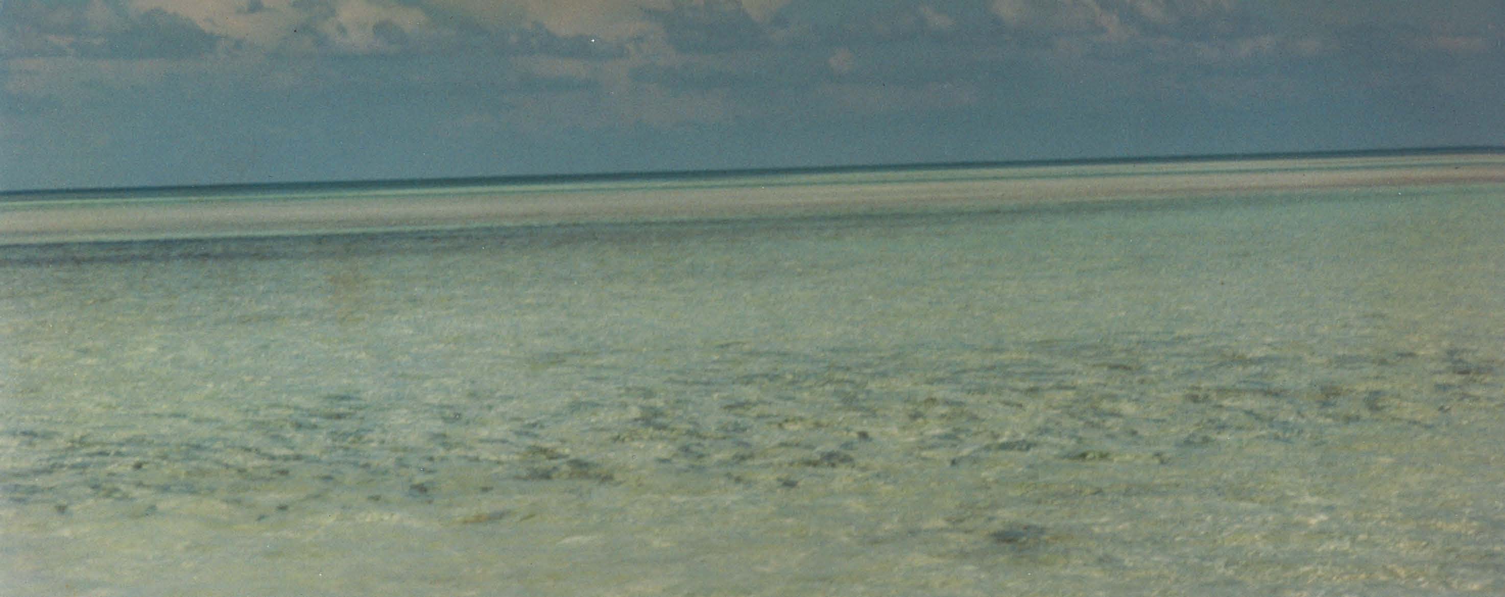 bag 5 land_Page_80_Image_0001