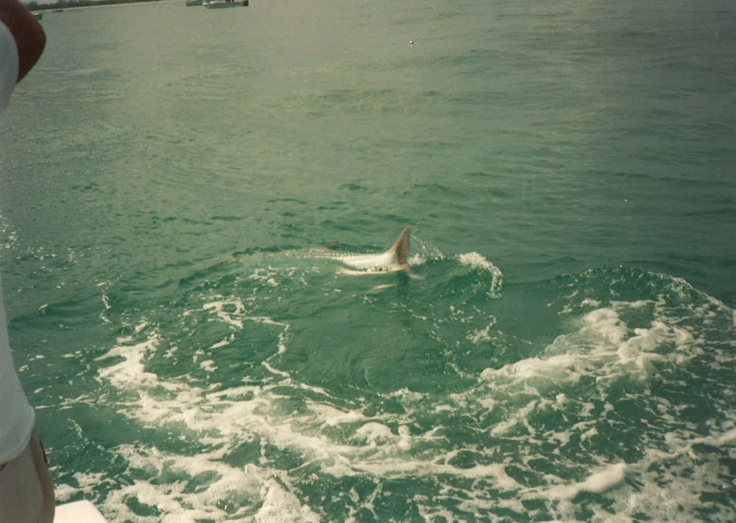 bag 6 land_Page_41_Image_0001