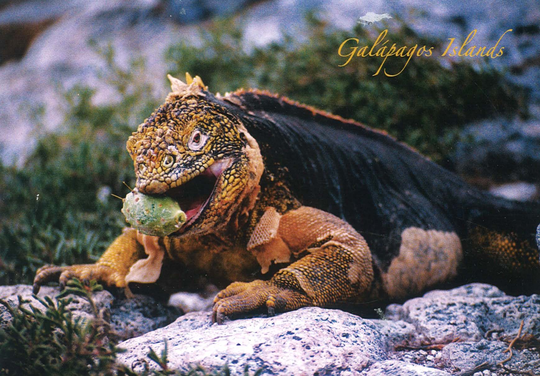 peru final_Page_14_Image_0001