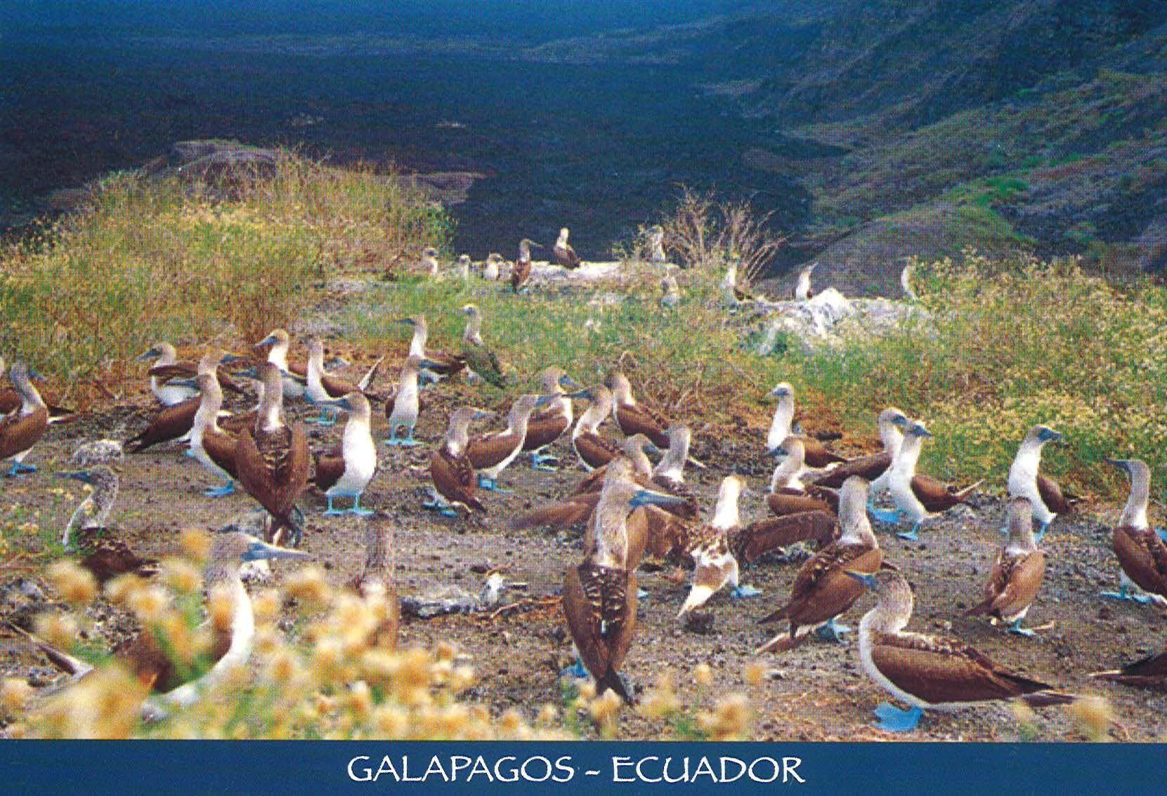 peru final_Page_09_Image_0001