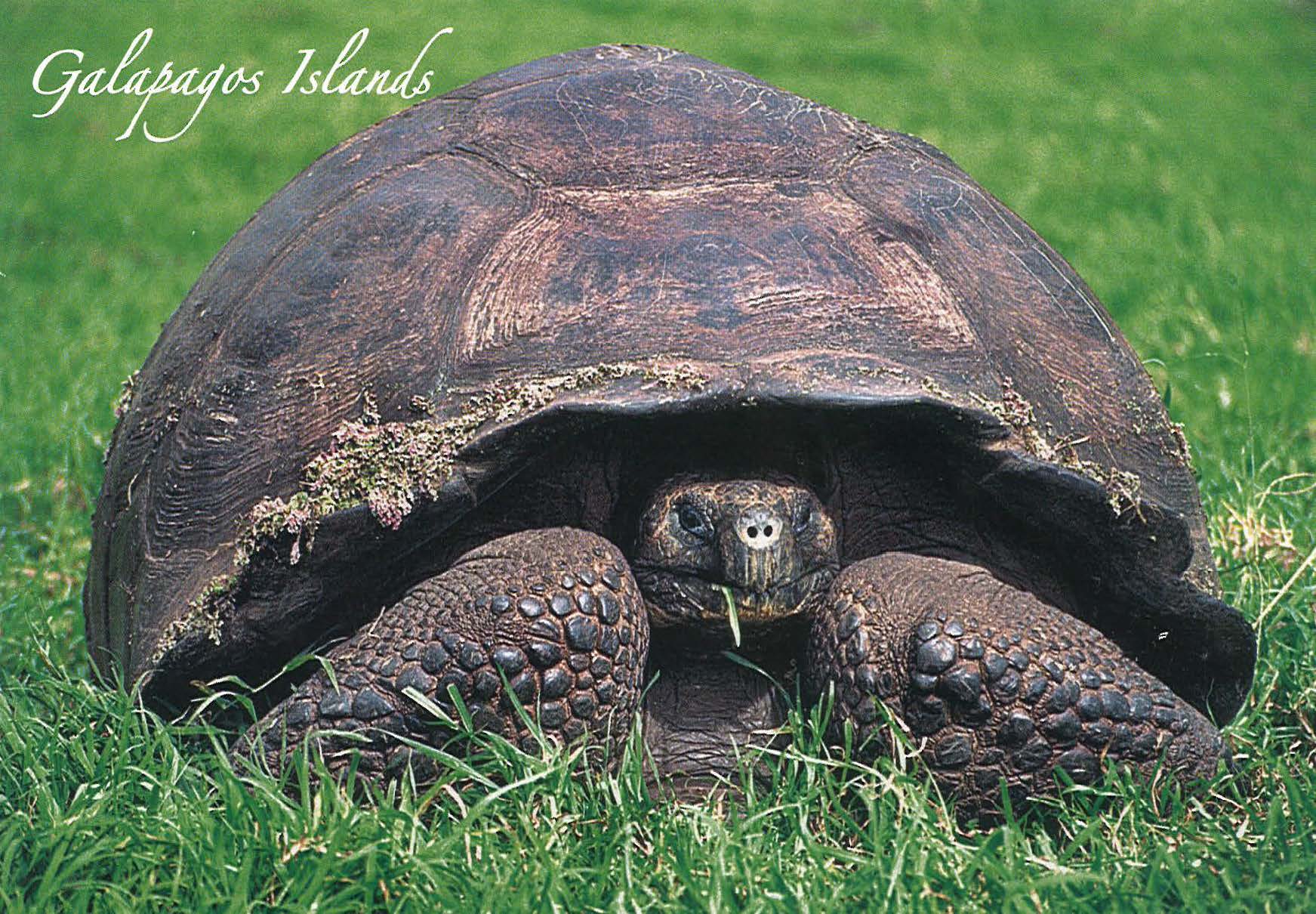 peru final_Page_08_Image_0001