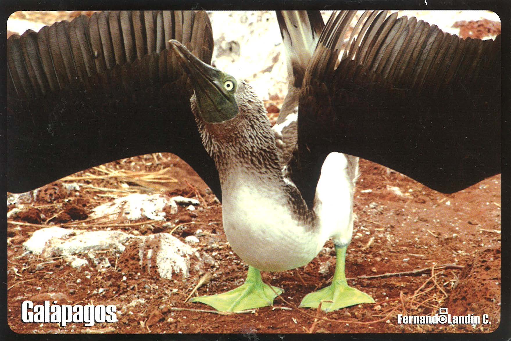 peru final_Page_16_Image_0001