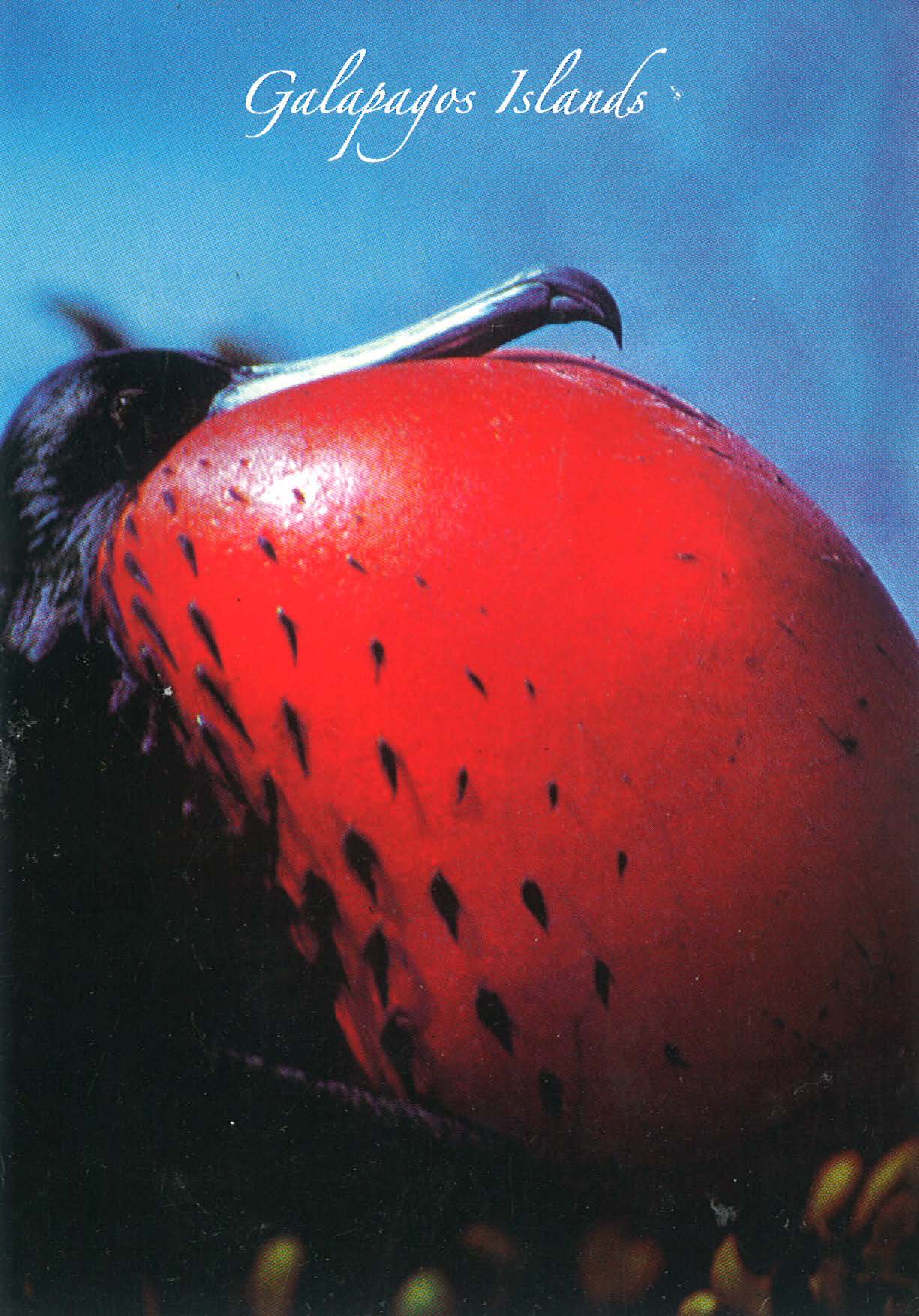 peru final_Page_18_Image_0001