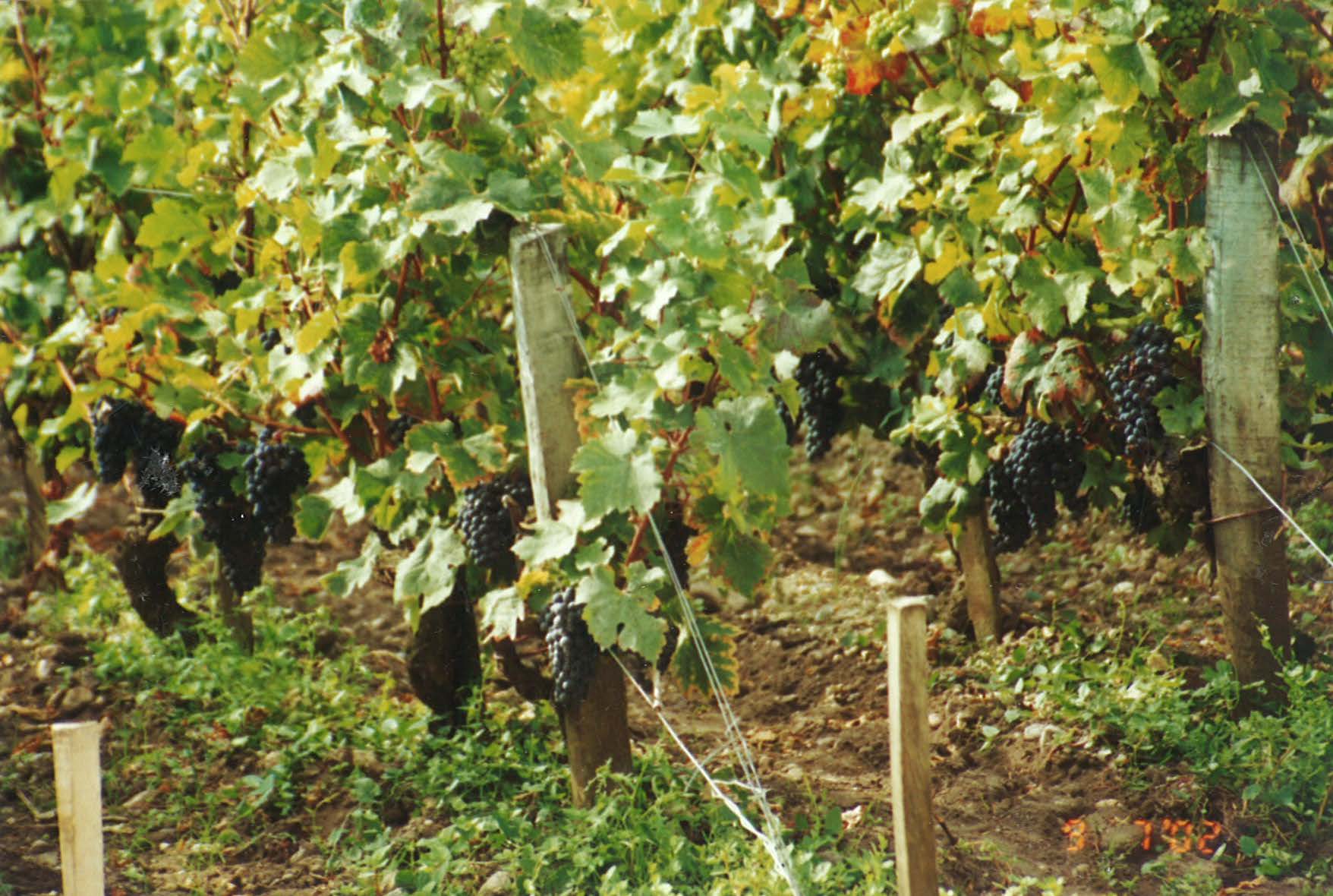 France, complete_Page_027