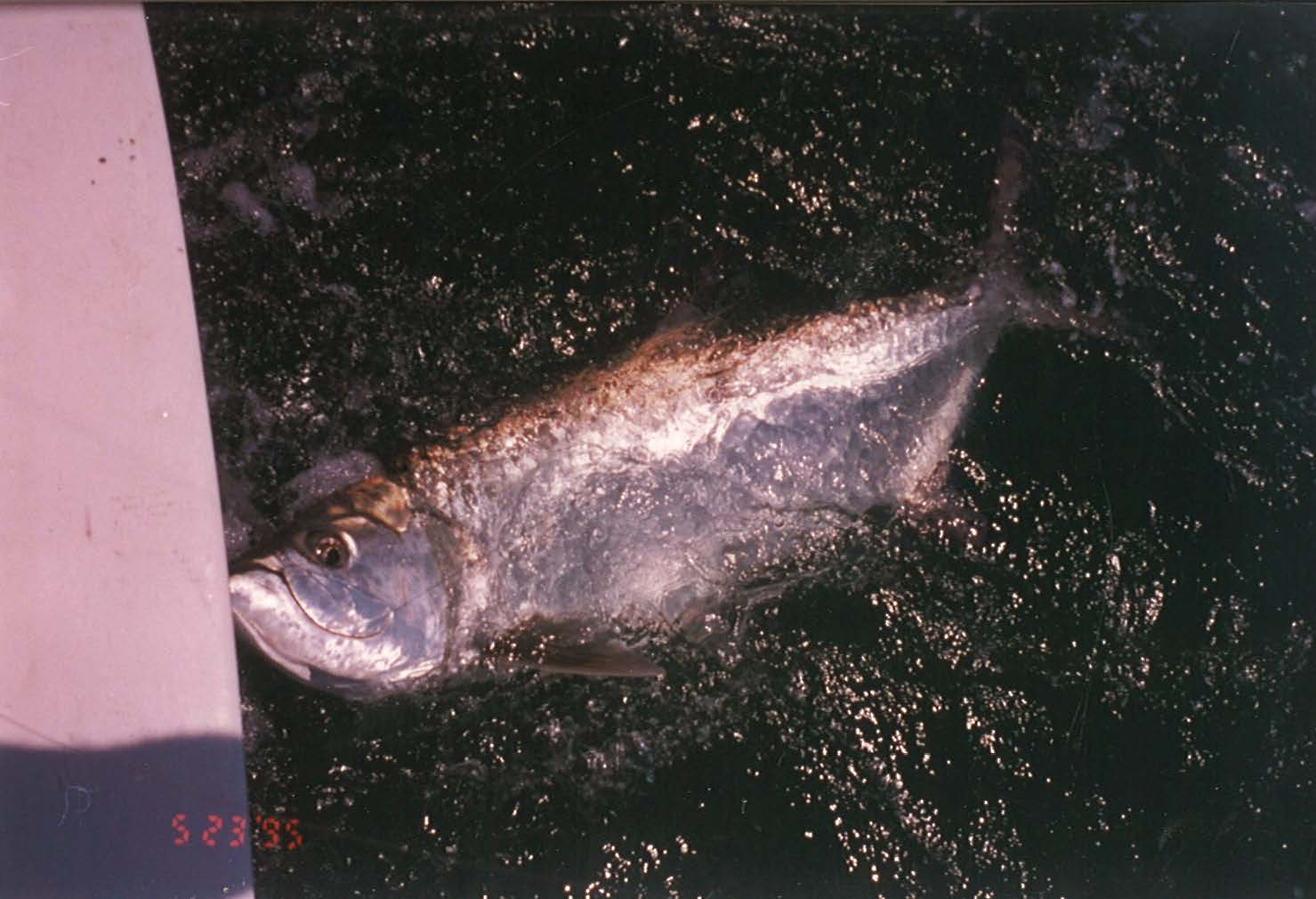 bag 6 land_Page_18_Image_0001