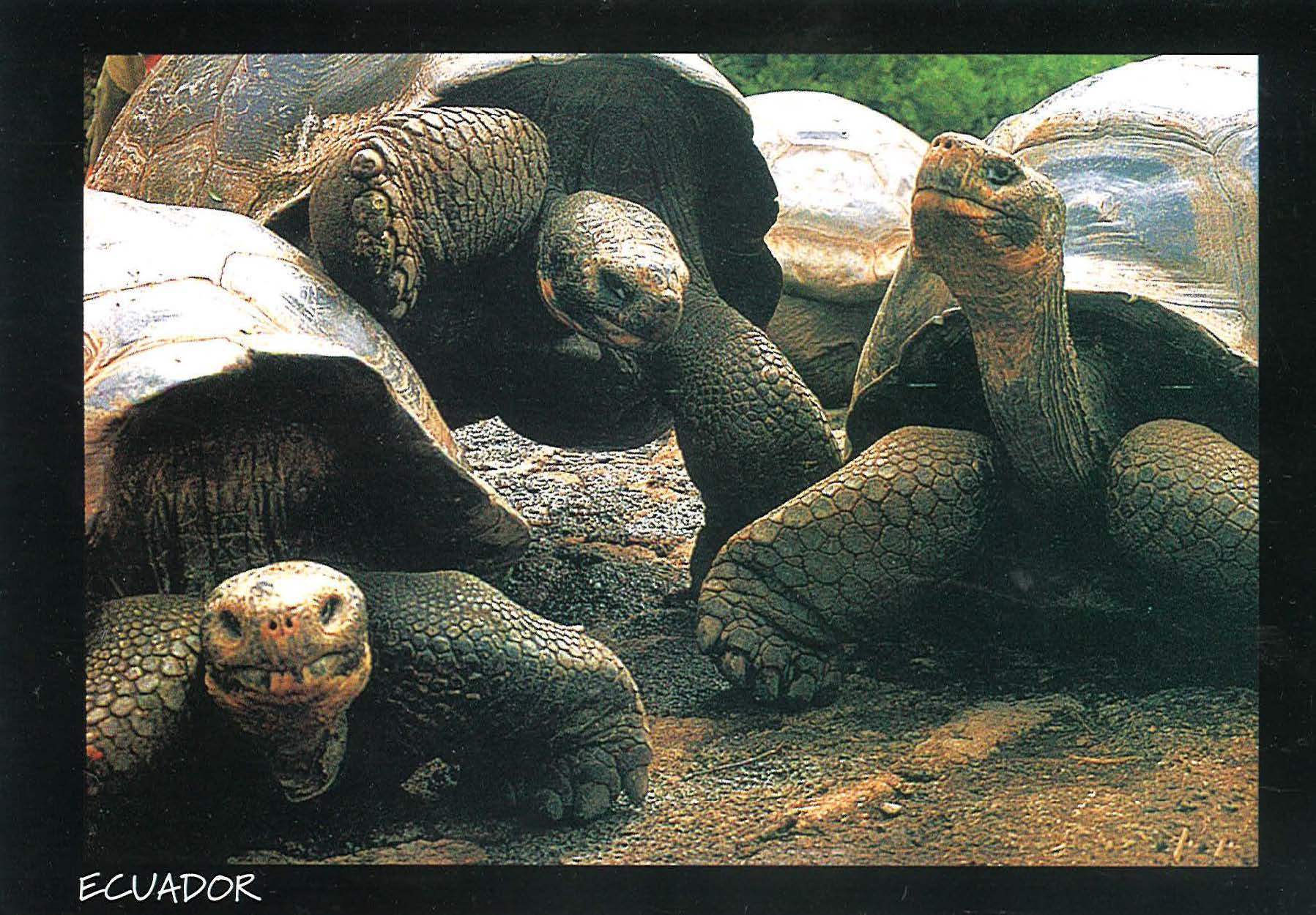 peru final_Page_13_Image_0001