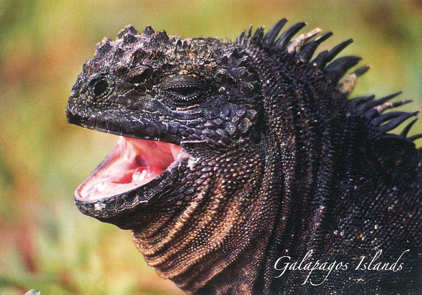 peru final_Page_12_Image_0001