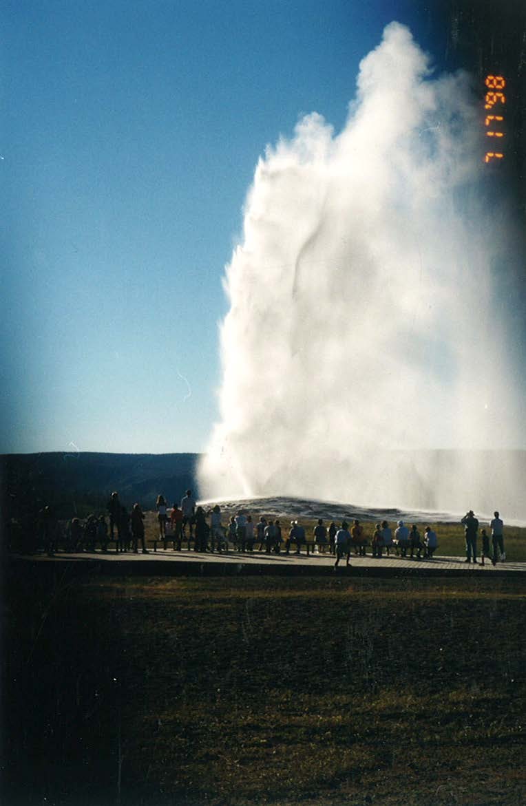 Bag 7 final_Page_084_Image_0001