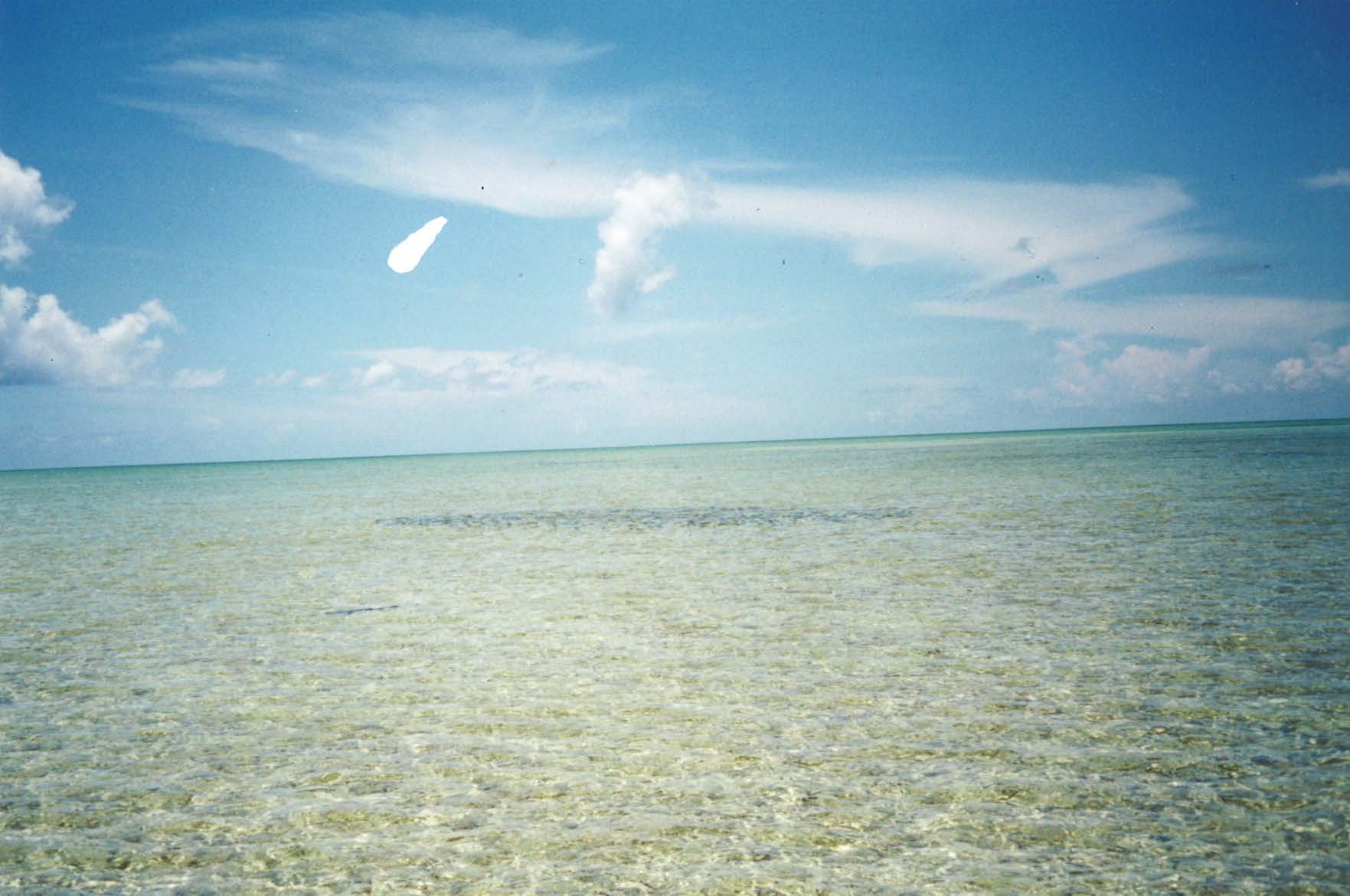 bag 5 land_Page_20_Image_0001