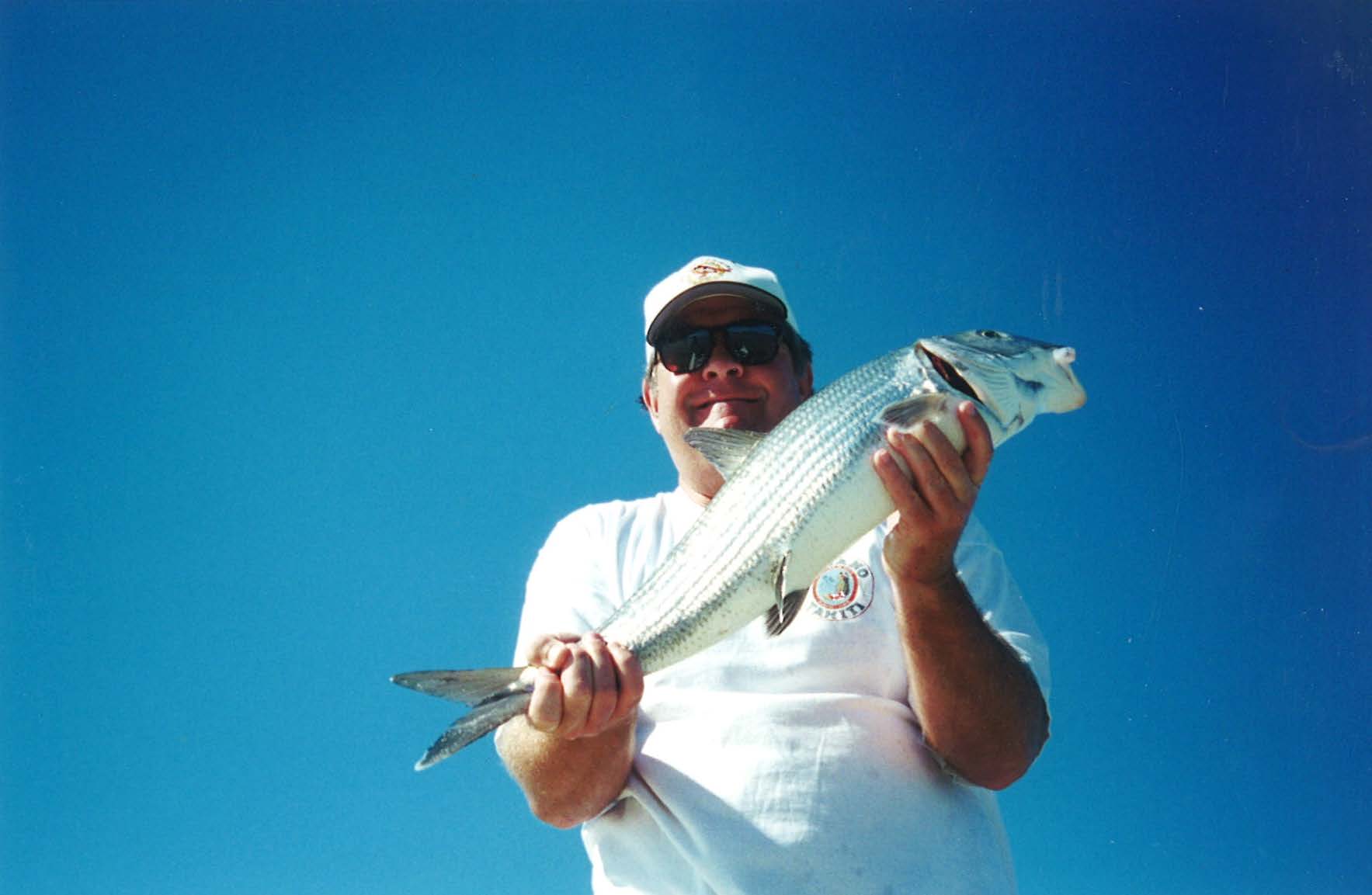 bag 5 land_Page_41_Image_0001