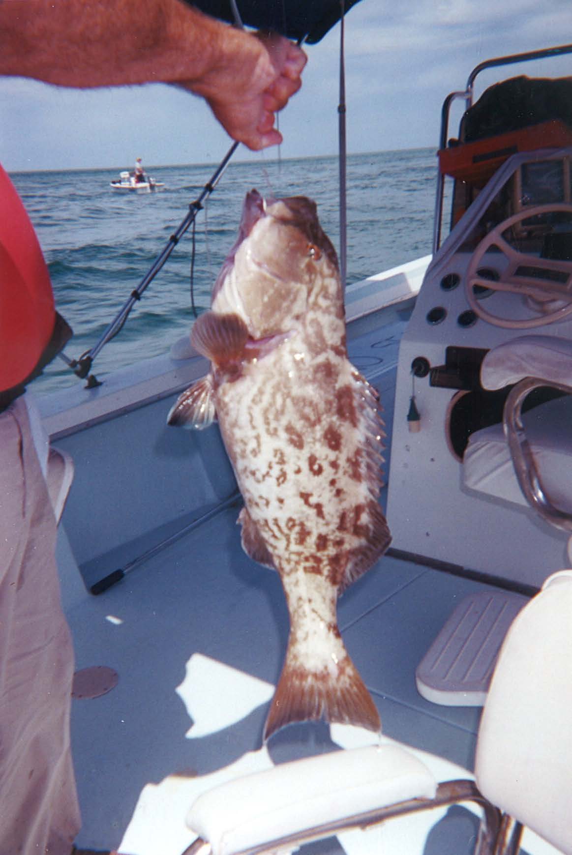 bag 6 port_Page_1_Image_0001