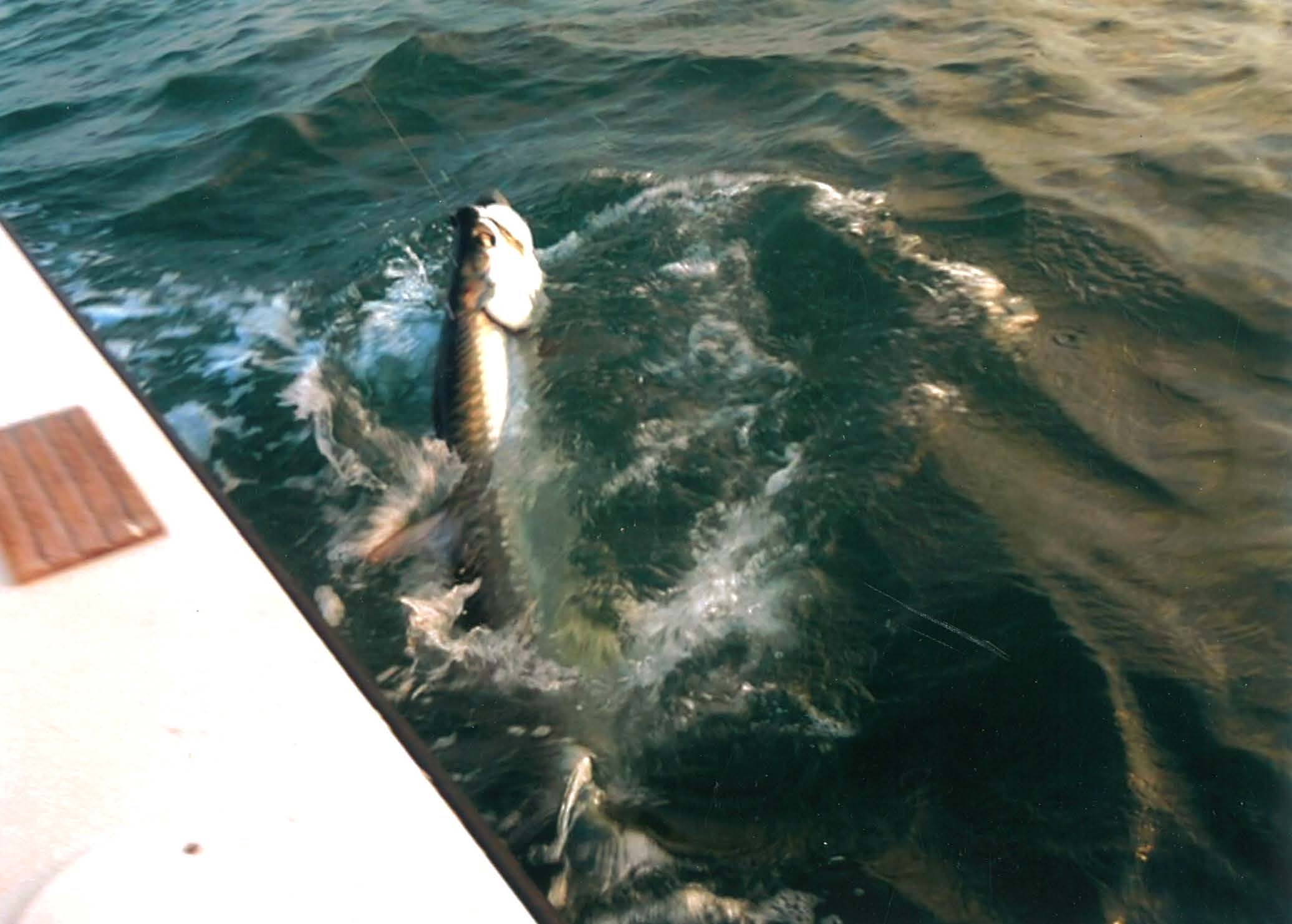 bag 6 land_Page_07_Image_0001