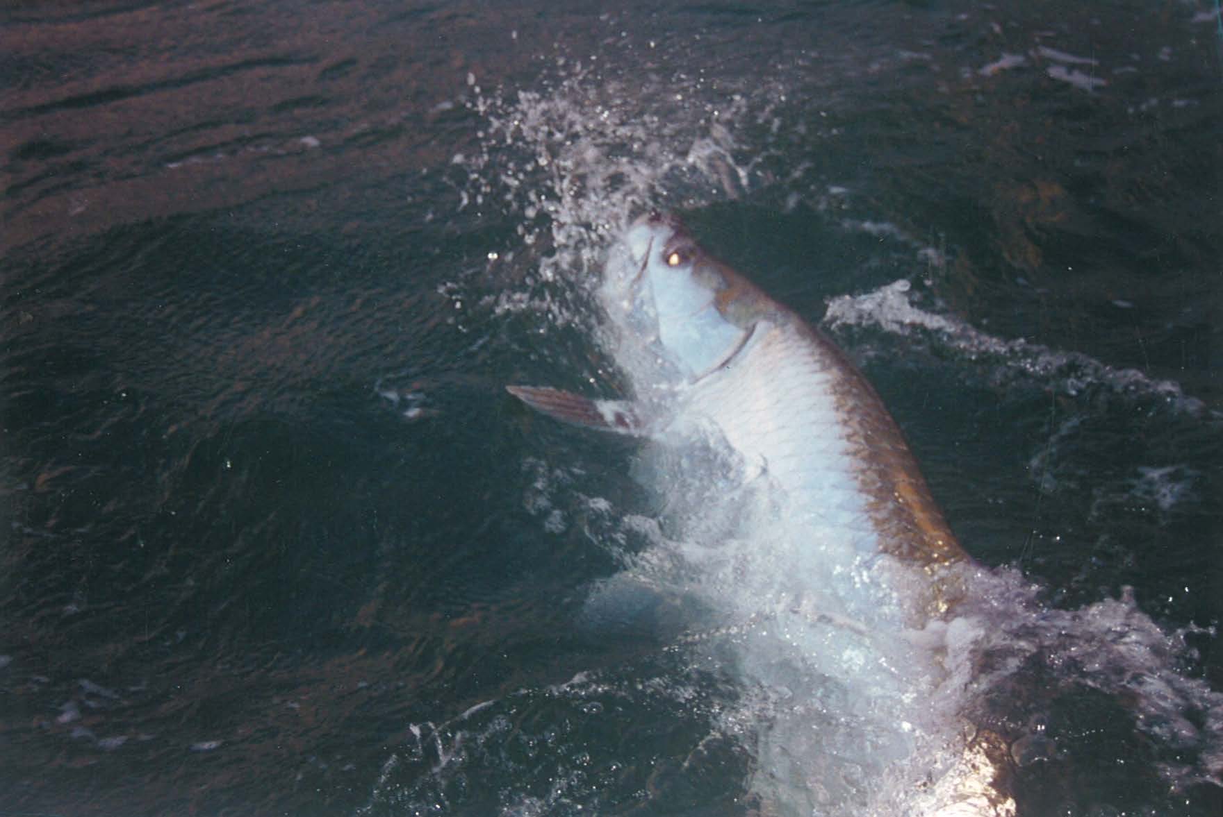 bag 6 land_Page_47_Image_0001