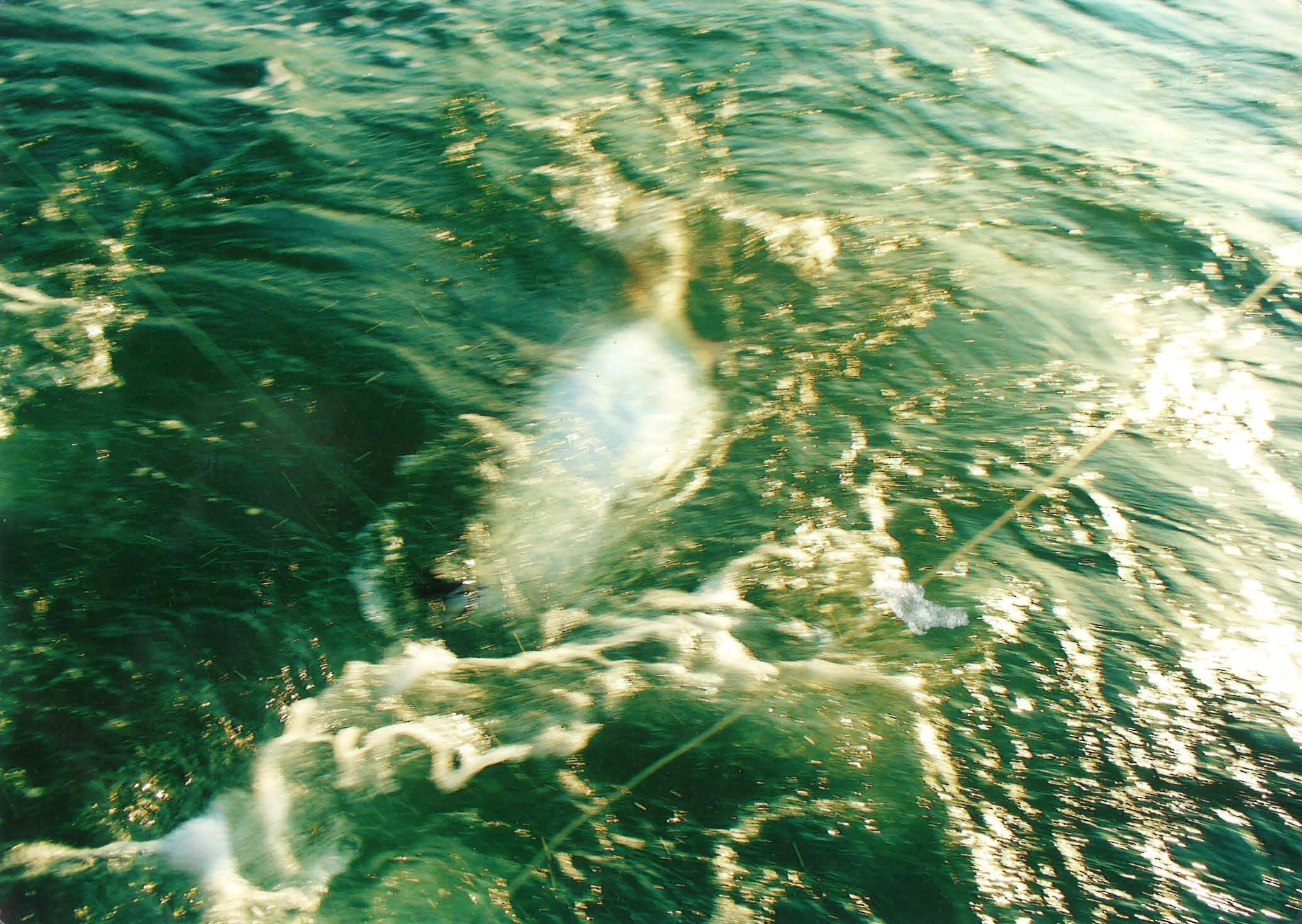 bag 6 land_Page_32_Image_0001