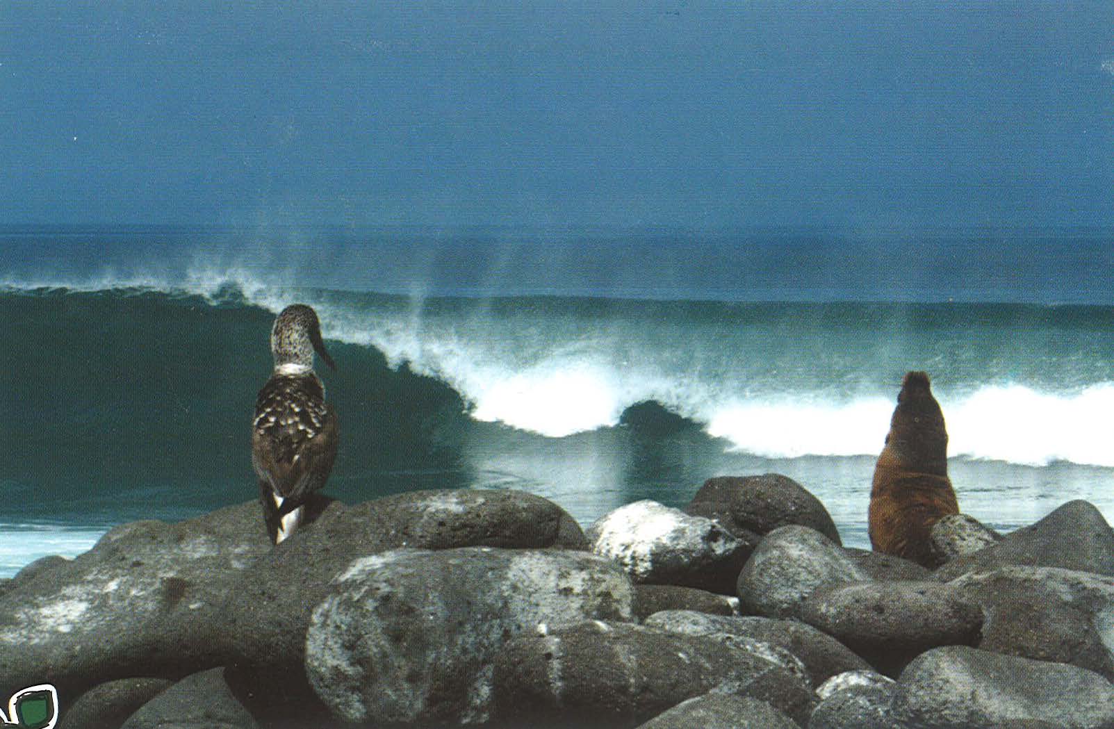 peru final_Page_11_Image_0001