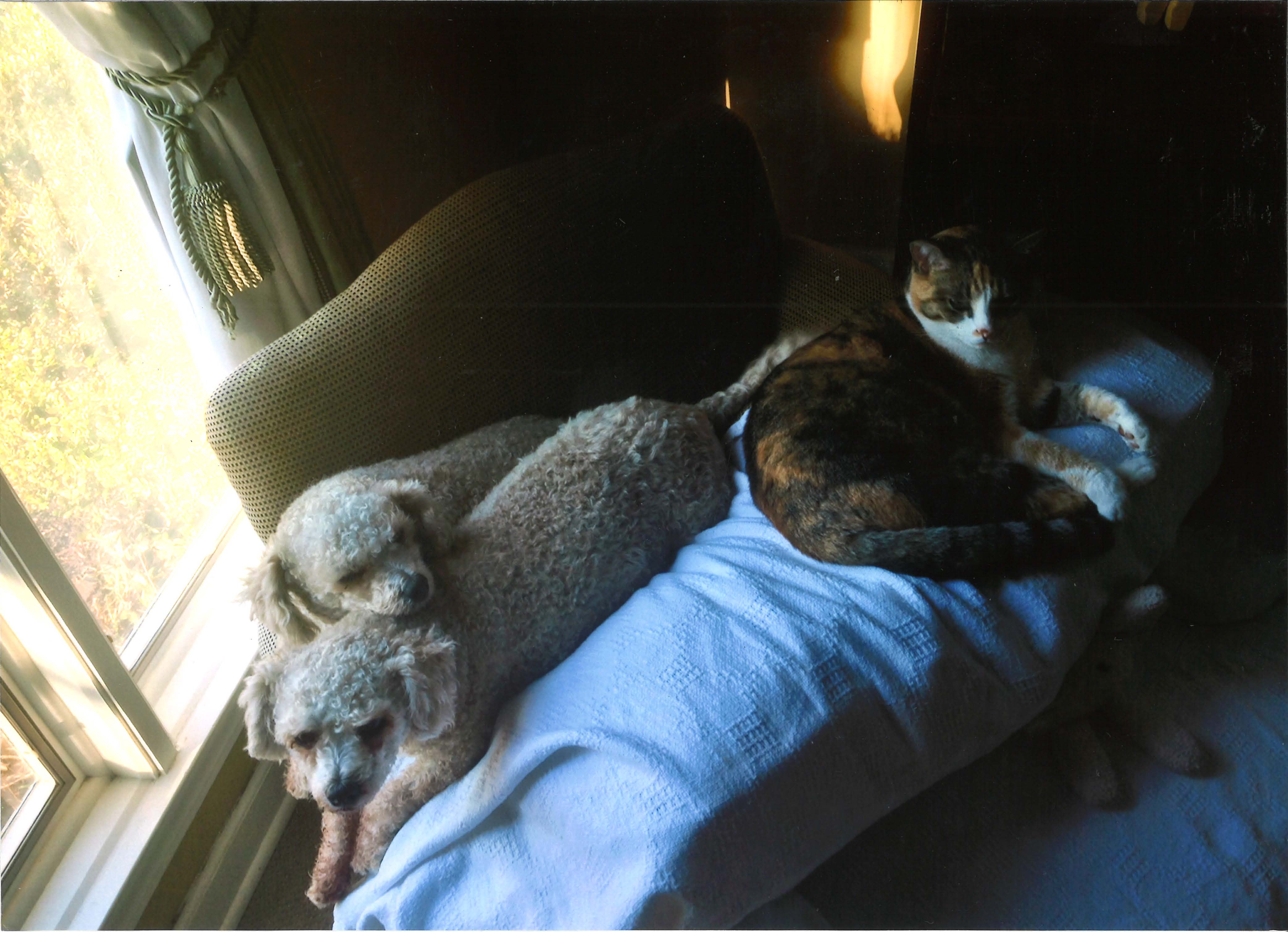 holmes-folder_page_95_image_0001