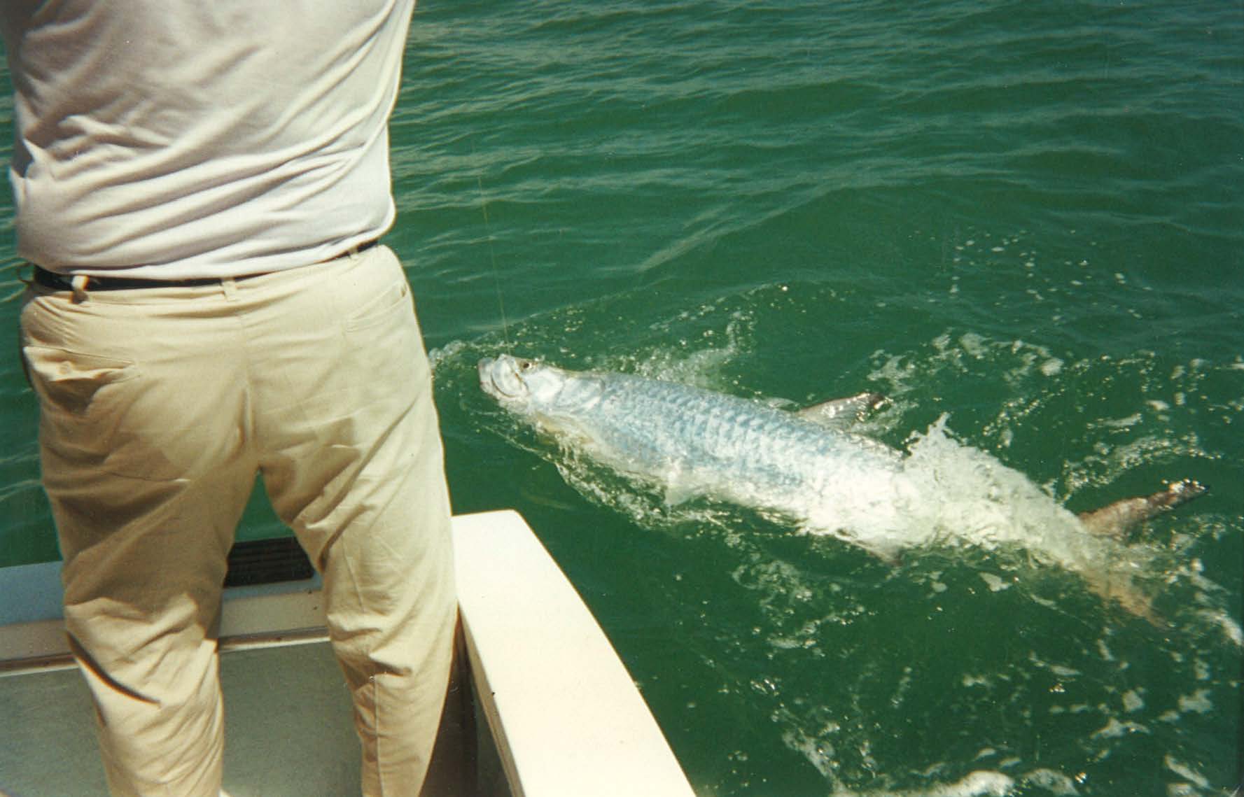 bag 6 land_Page_14_Image_0001