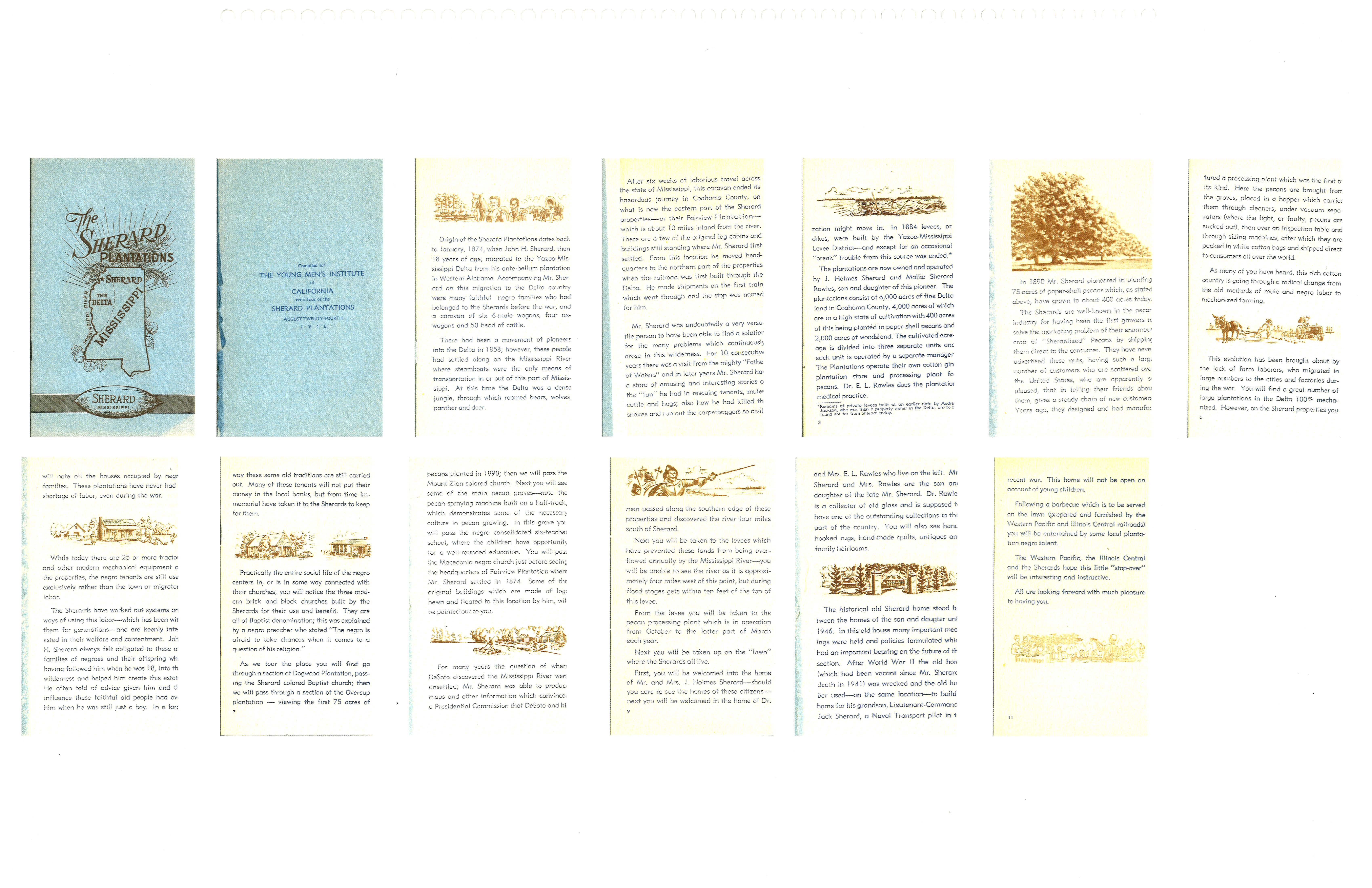 Our Family Book_Page_05